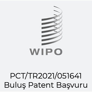 WIPO 2.jpg